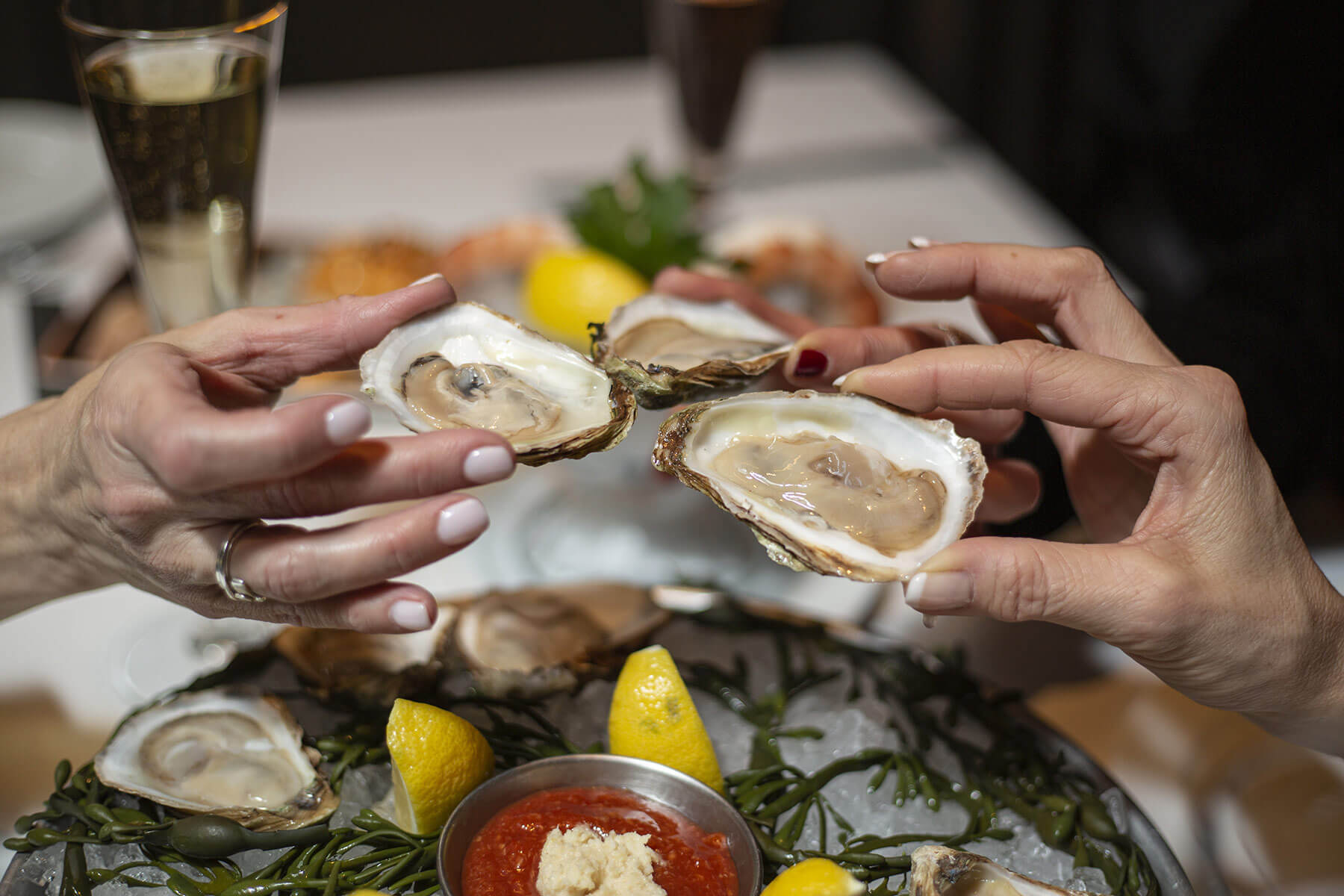oysters at ocean prime